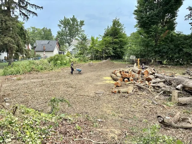 Photo posted by Dennis Anthony with their Google review of All Trees Considered, LLC