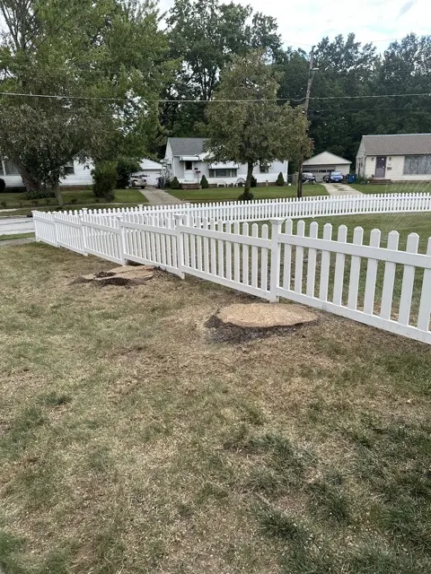 Photo posted by Mike Moses with their Google review of All Trees Considered, LLC