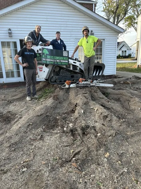 Photo posted by Tunde with their Google review of All Trees Considered, LLC