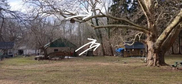 Photo posted by Chris Pacza with their Google review of All Trees Considered, LLC