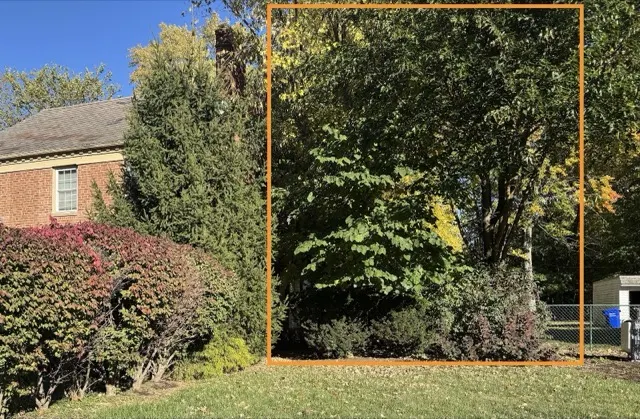 Photo posted by Lauren Vogel with their Google review of All Trees Considered, LLC