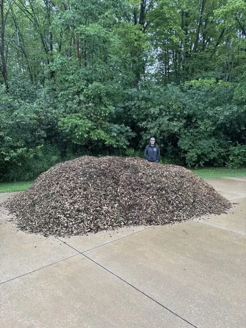 Photo posted by William Schnell with their Google review of All Trees Considered, LLC