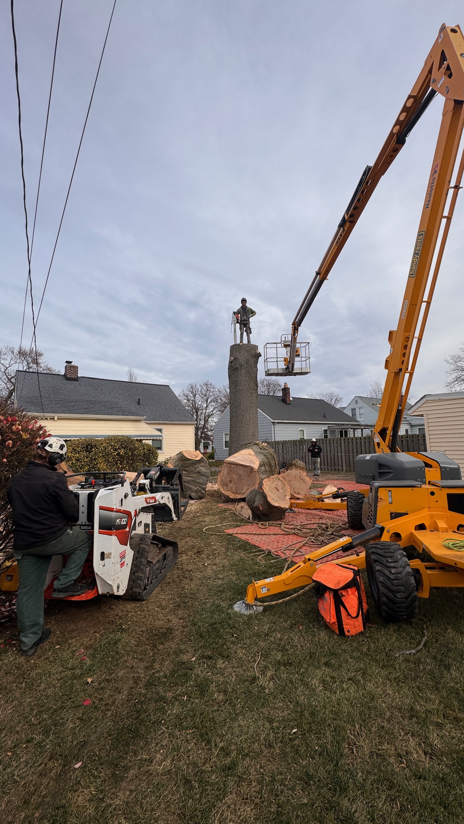 Tree service work 4