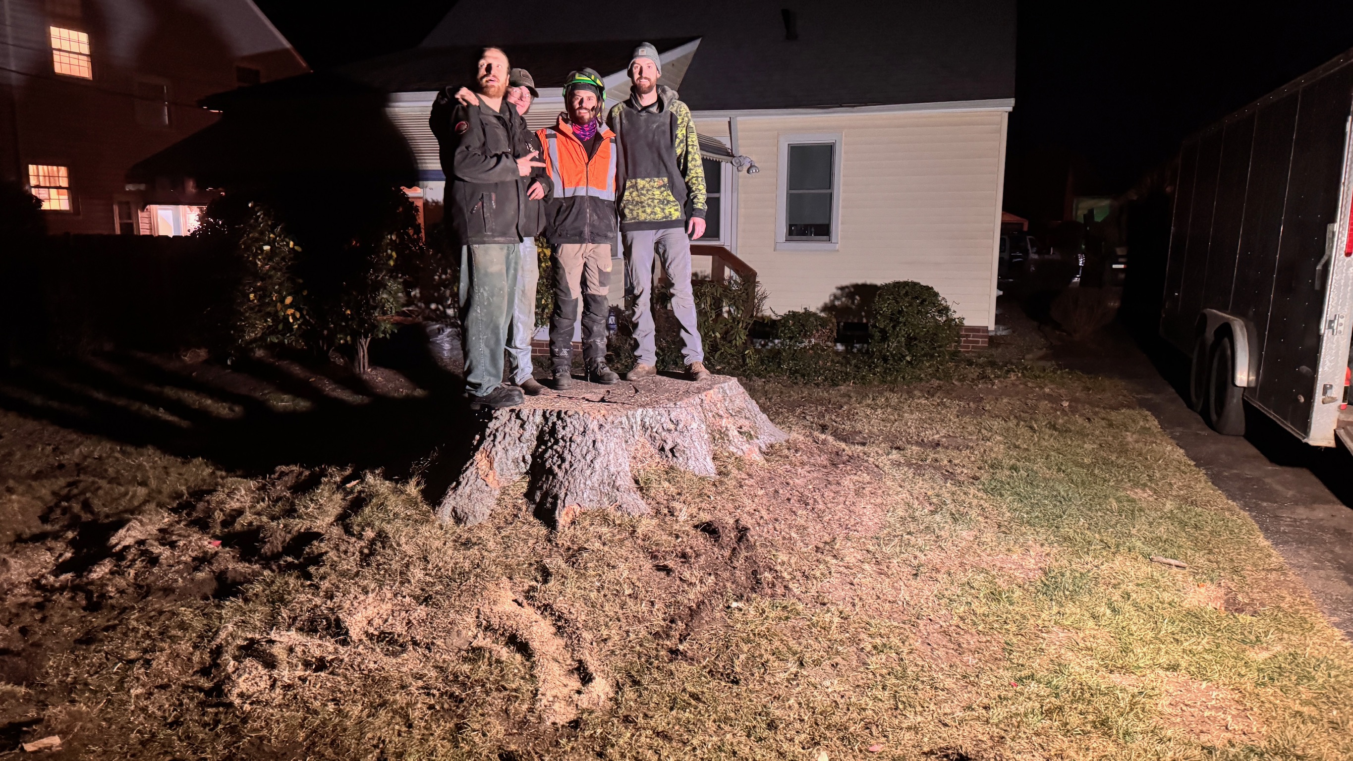 Tree removal Northeast Ohio