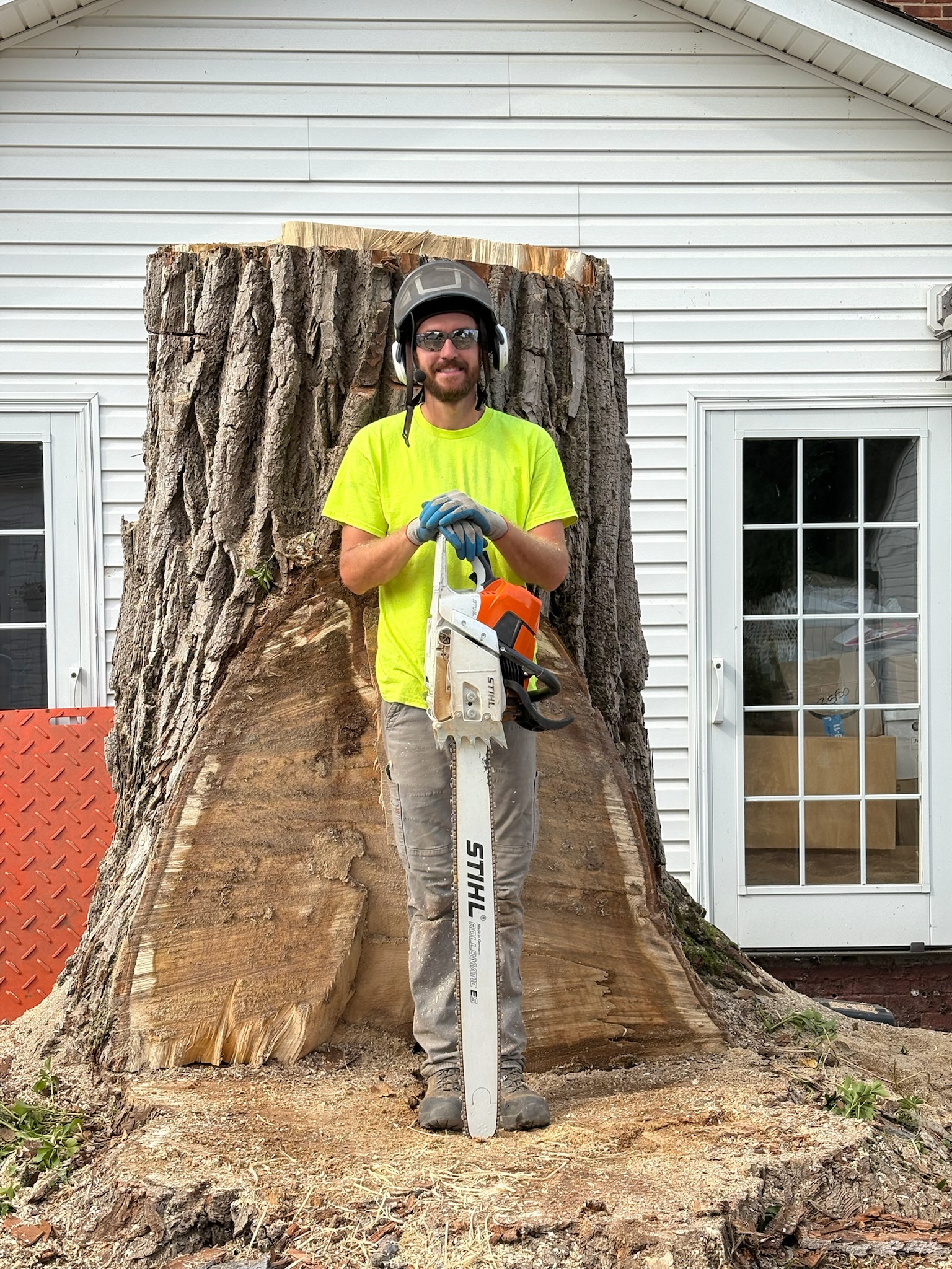 Large tree project