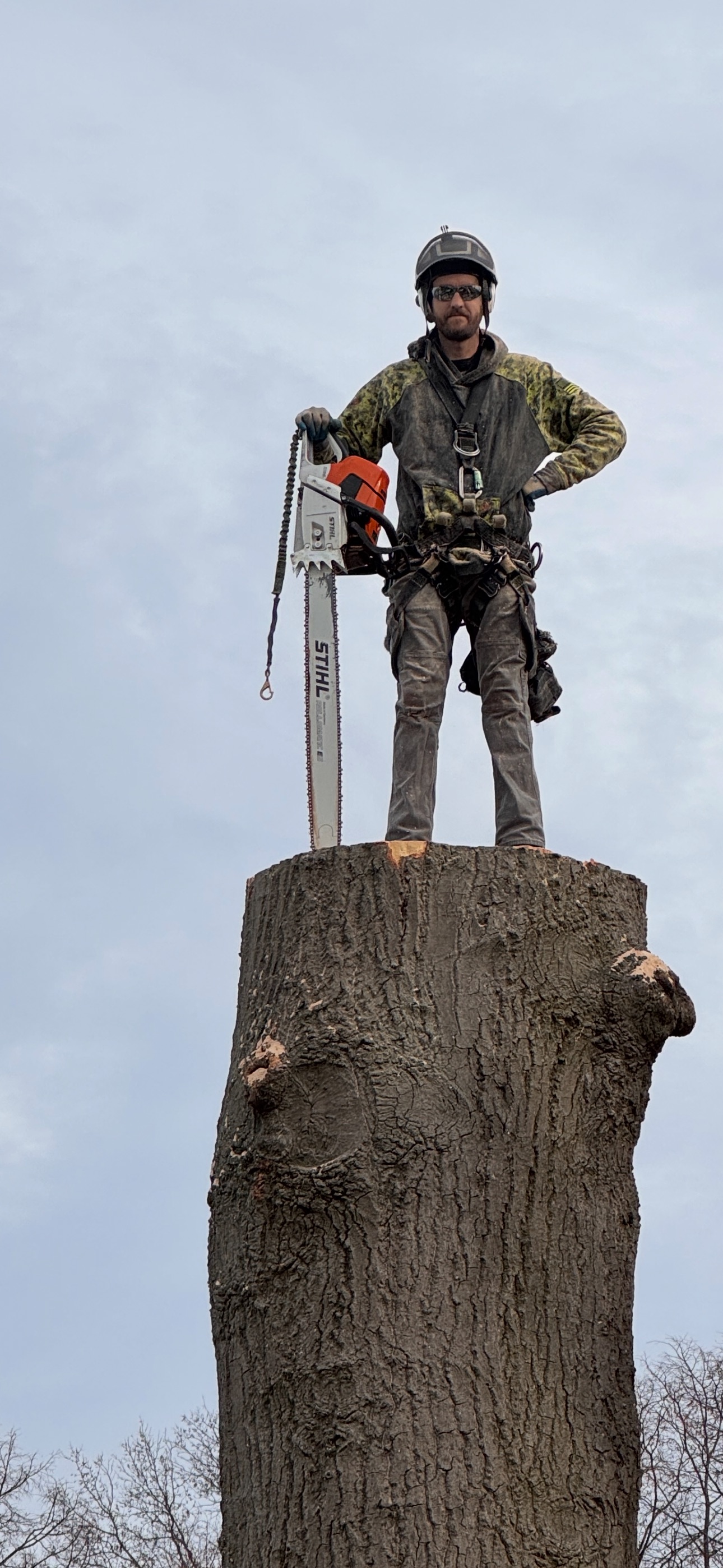 Tree service in Chardon