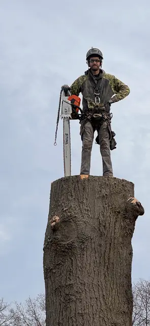 Tree service in Chardon