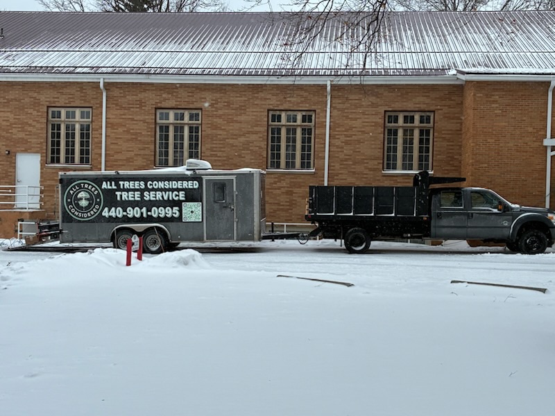 Tree service work 6