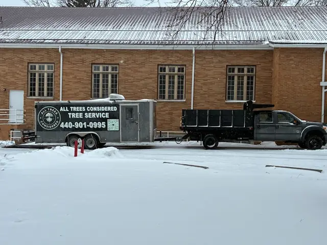 Tree service work 6