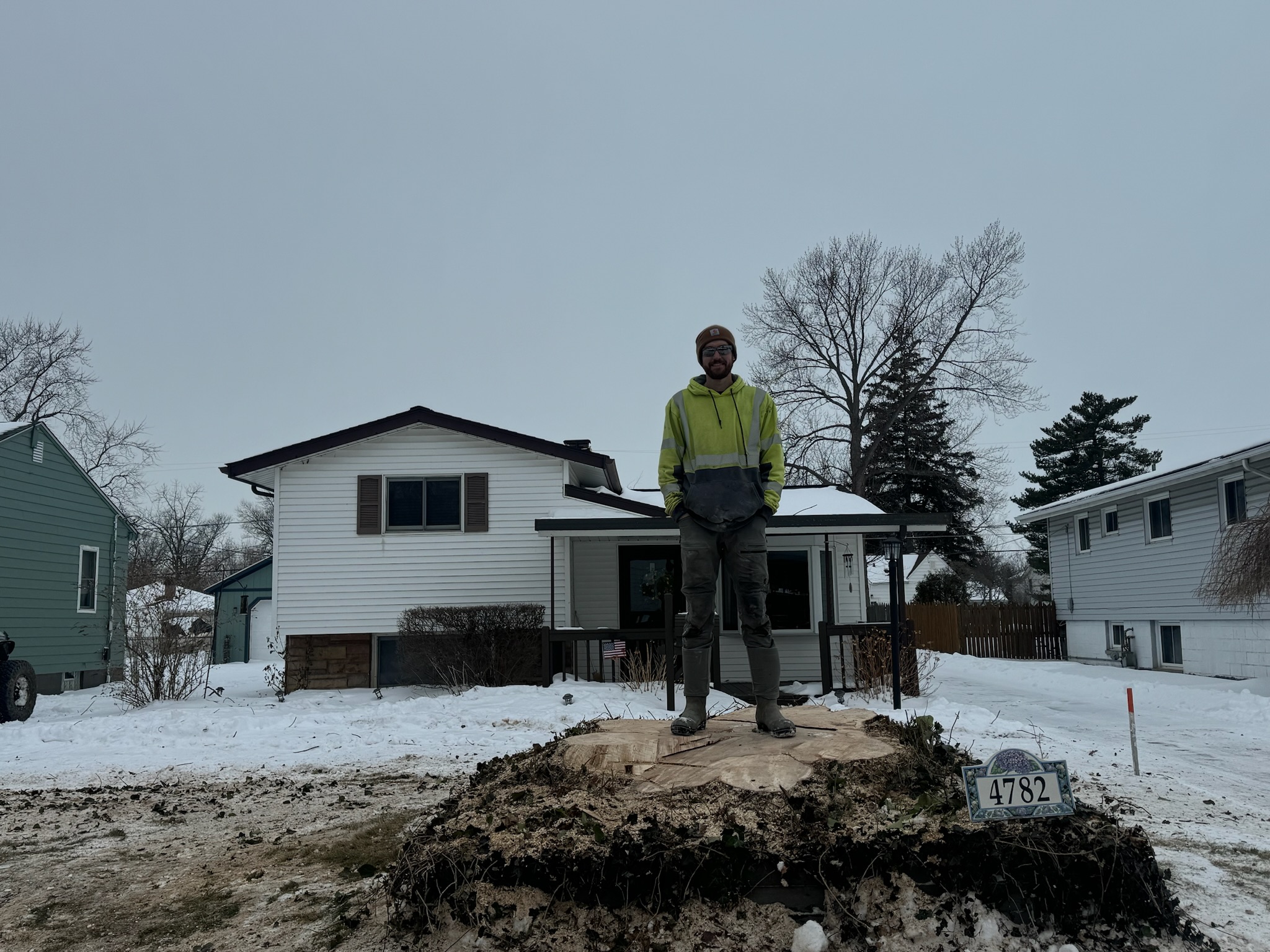 Property after tree service