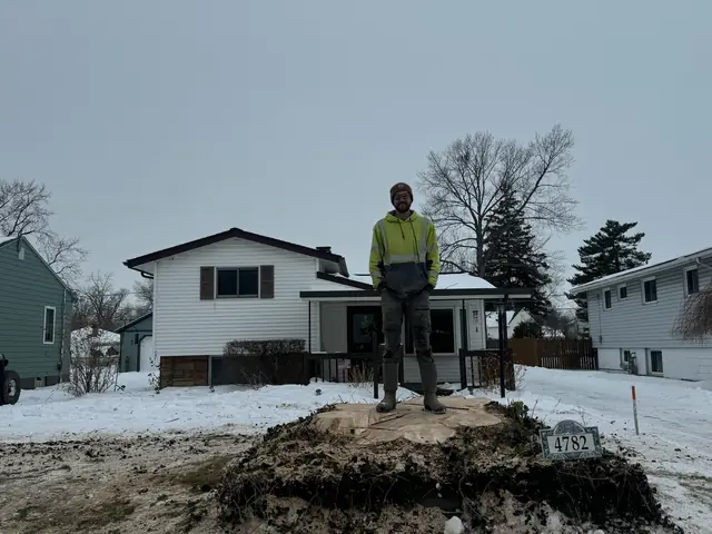 Property after tree service
