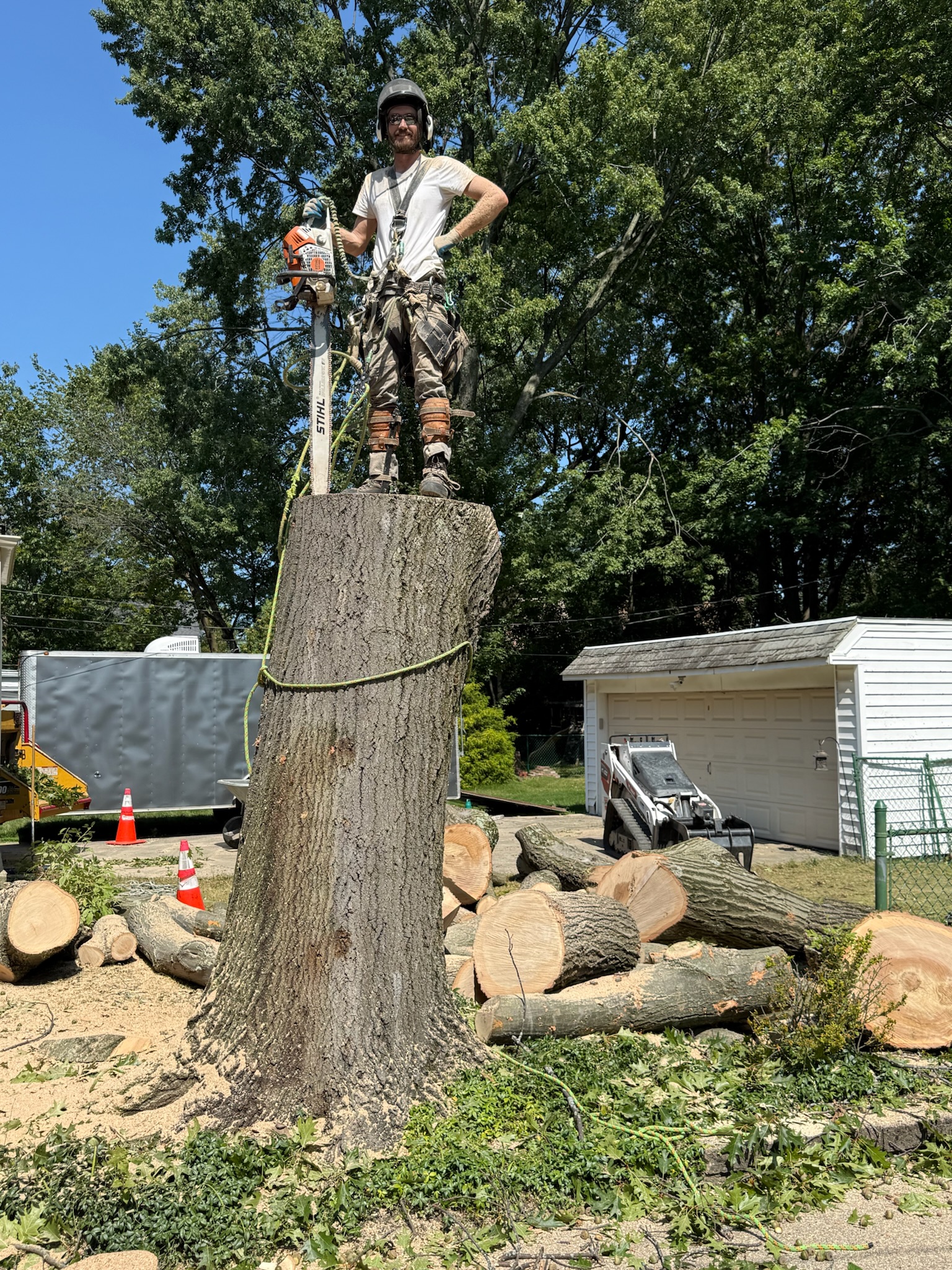 Tree service project