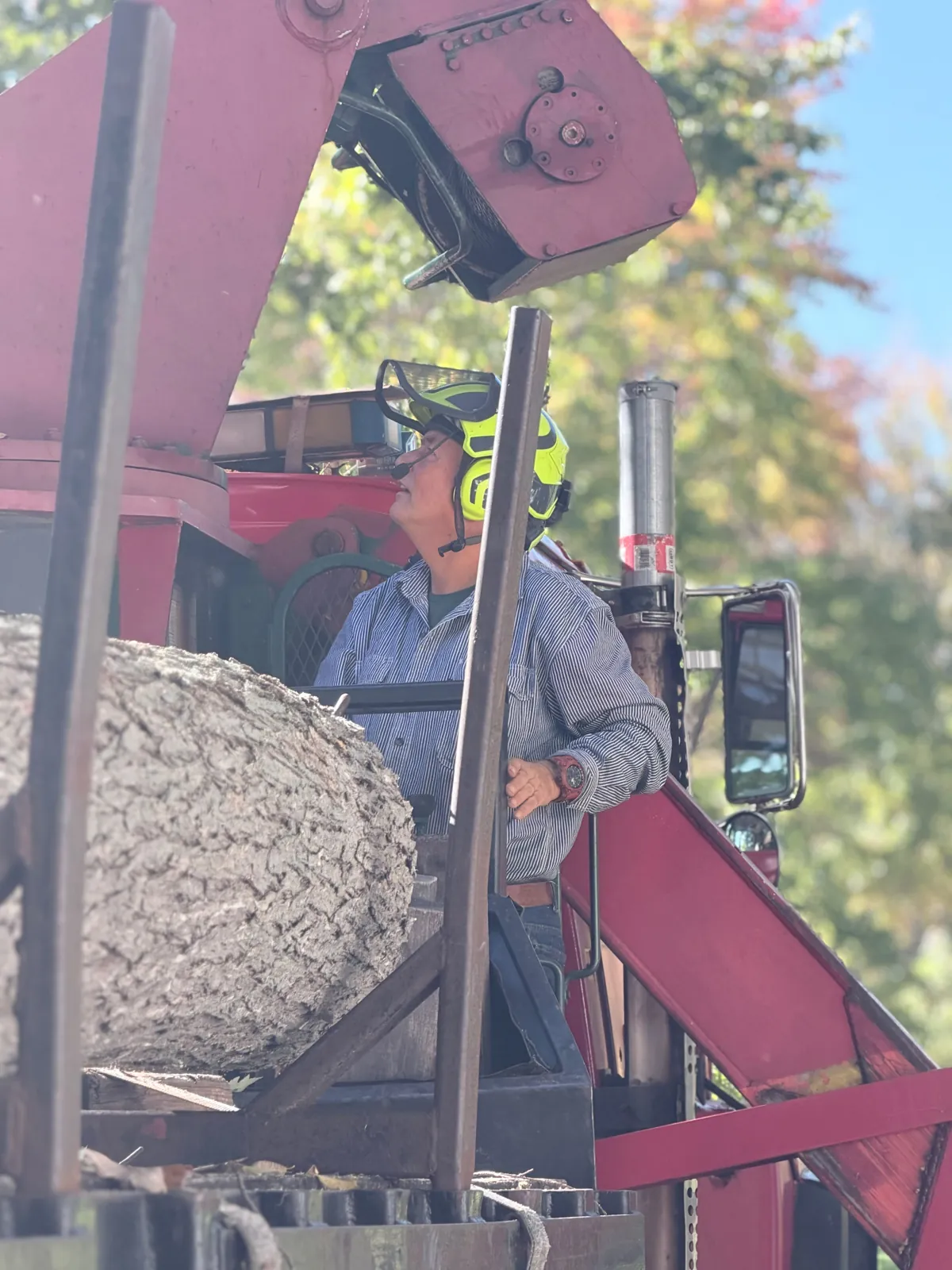 Crane operator in the cab lifting a log section from the oak