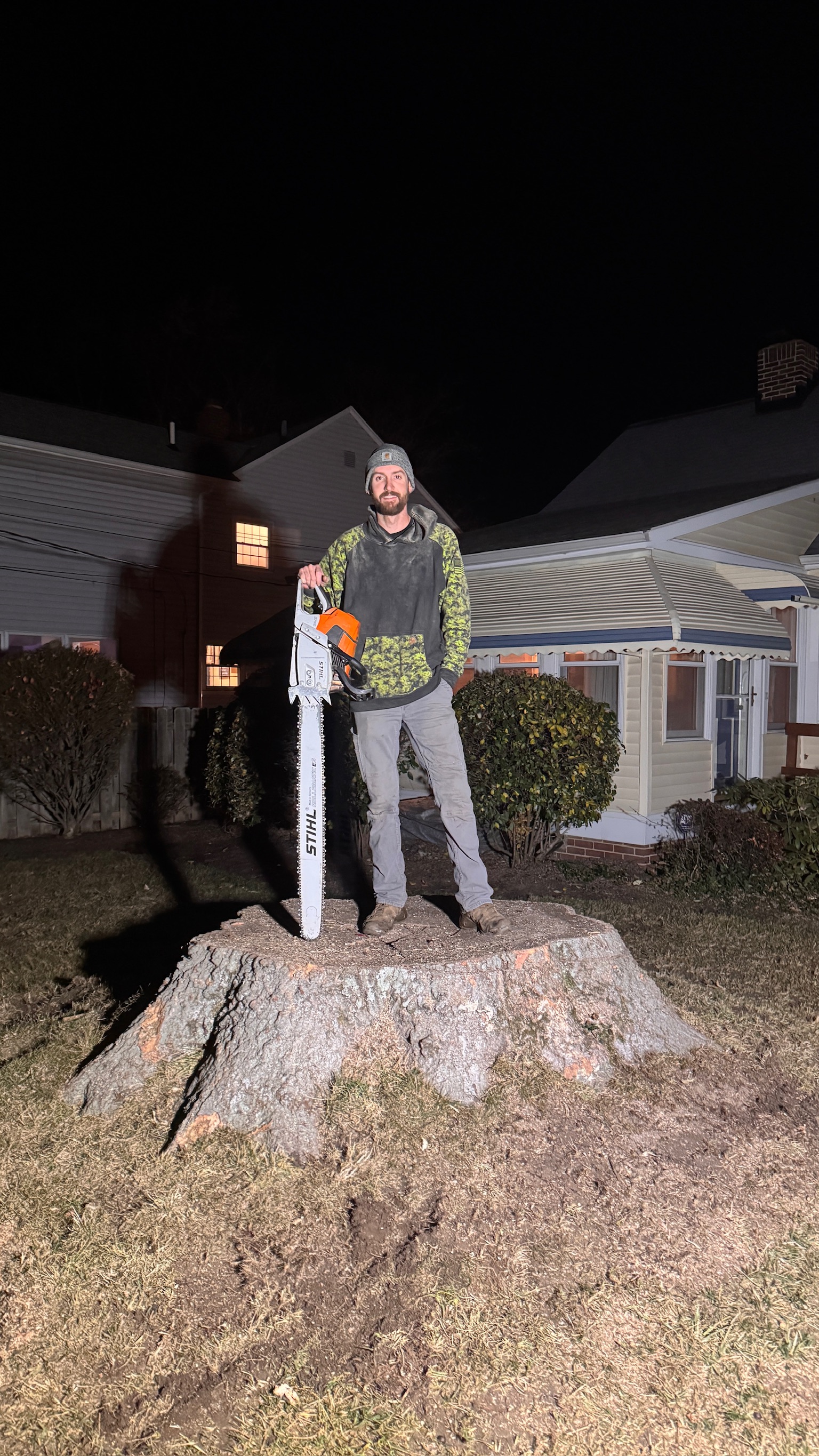 Completed tree job in Eastlake