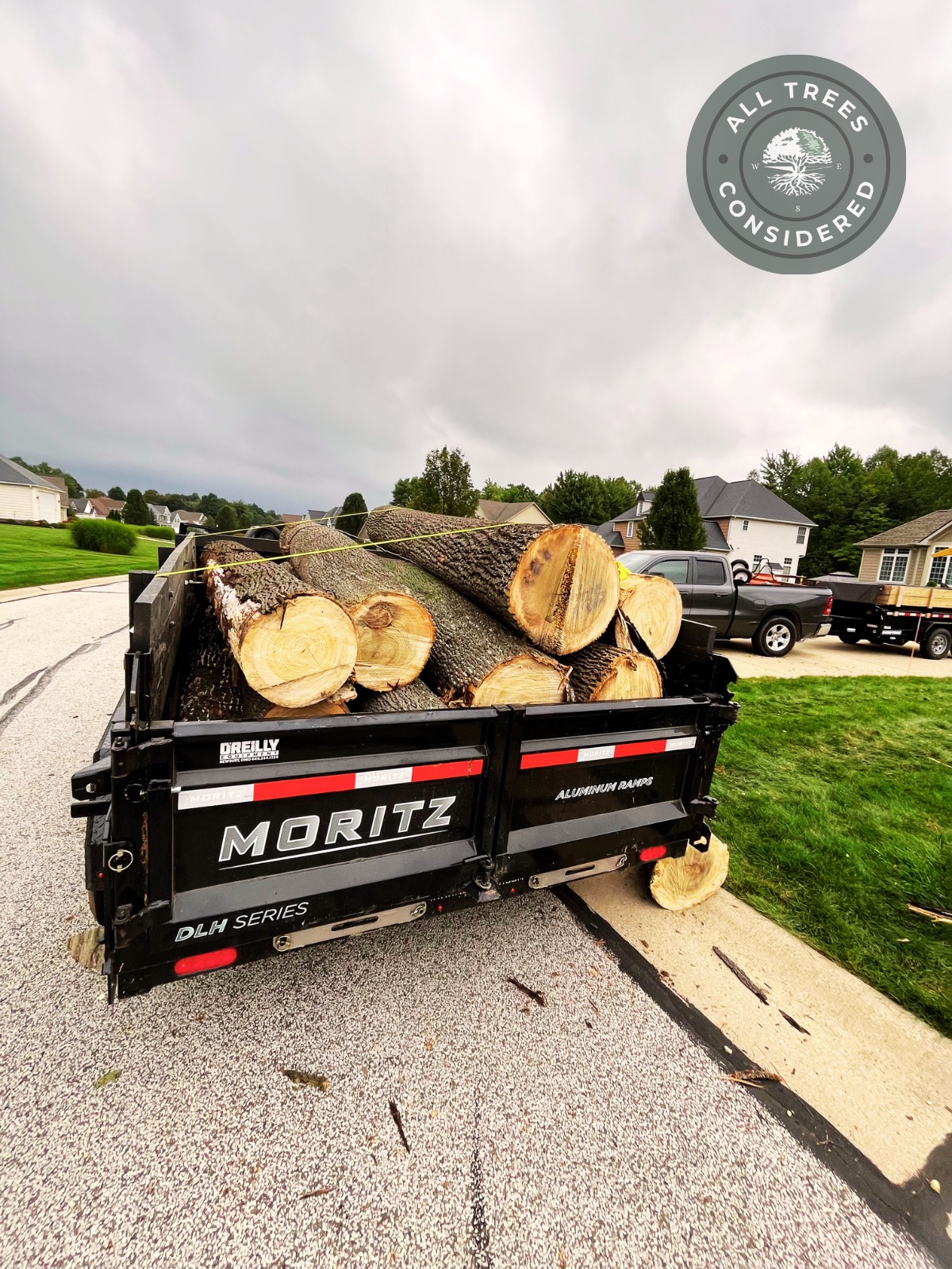Tree service work 15