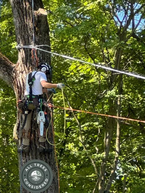 Tight access takedown