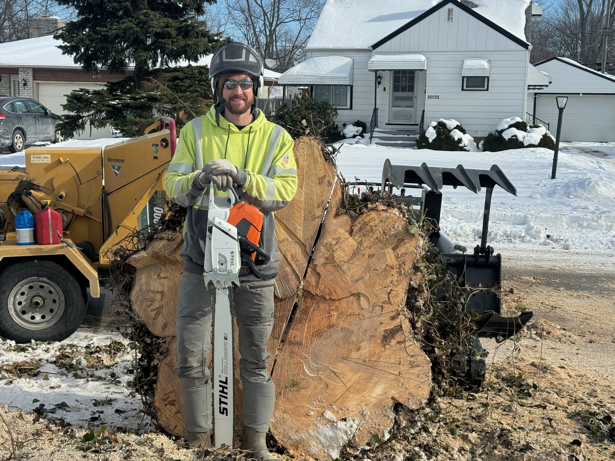 Chainsaw cutting through trunk