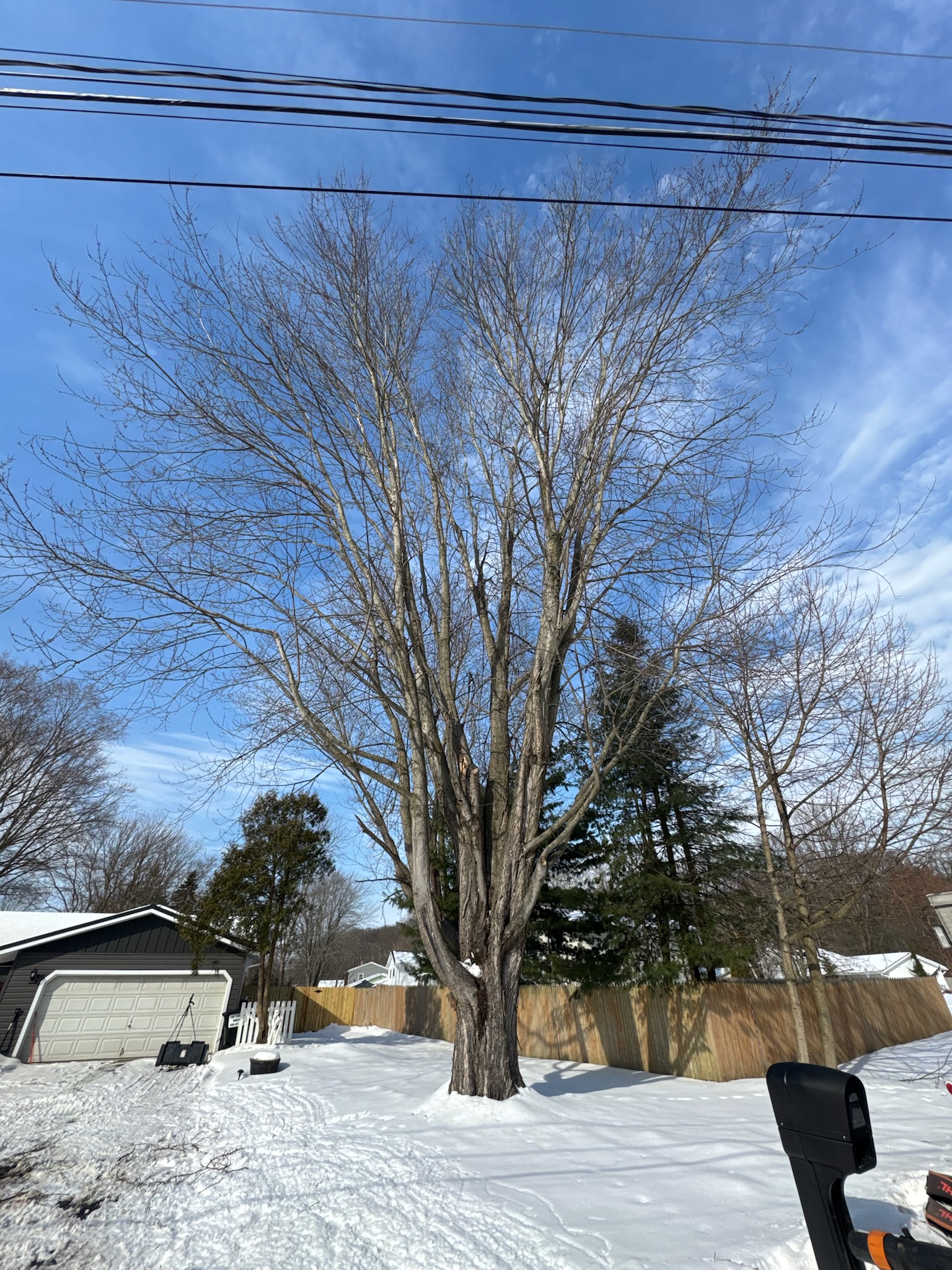 Completed property cleanup