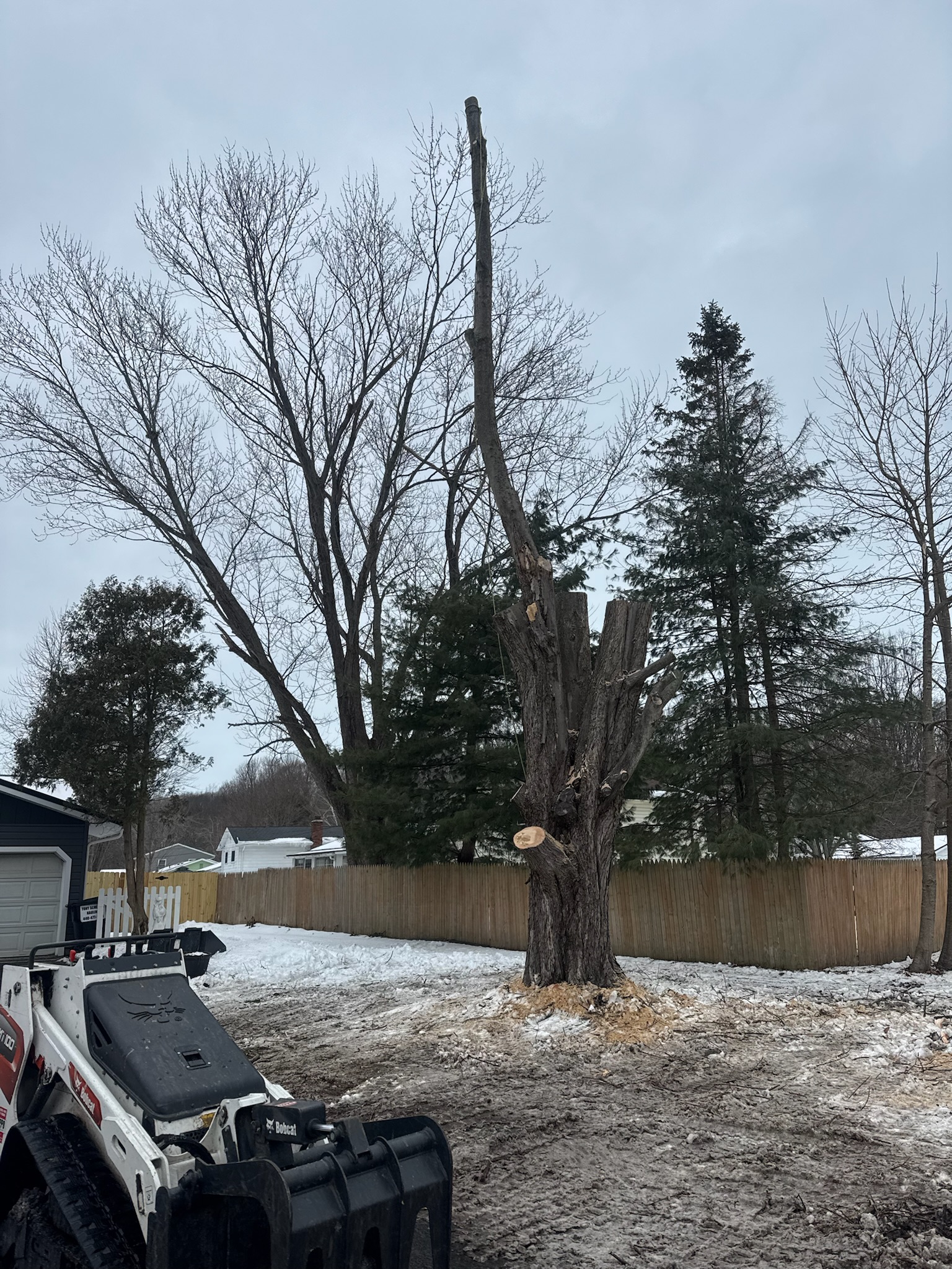 Branch removal from height