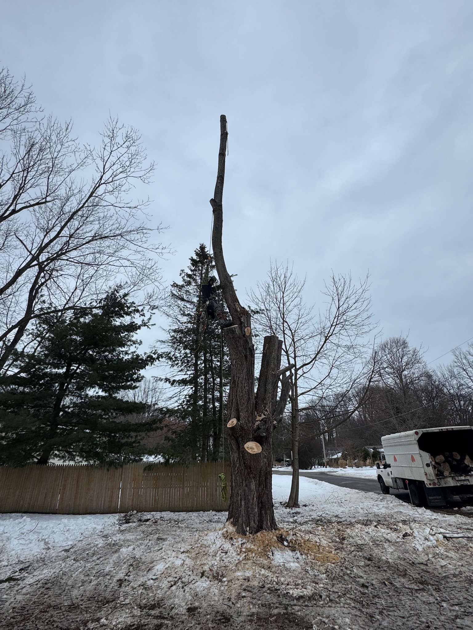 Large limb lowering