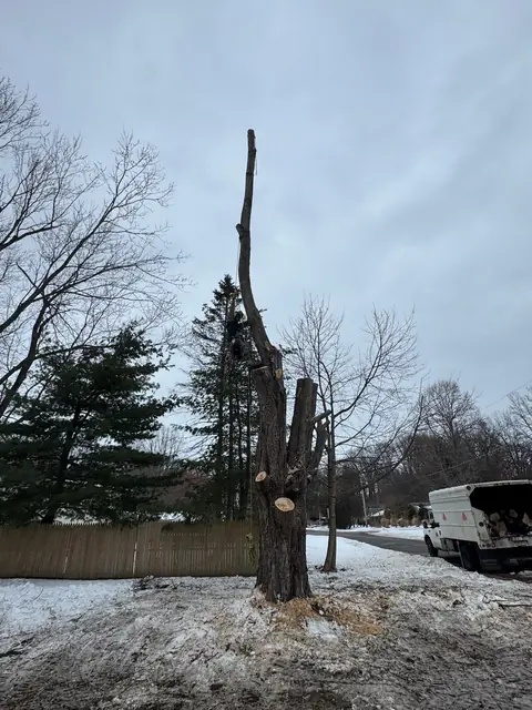 Large limb lowering