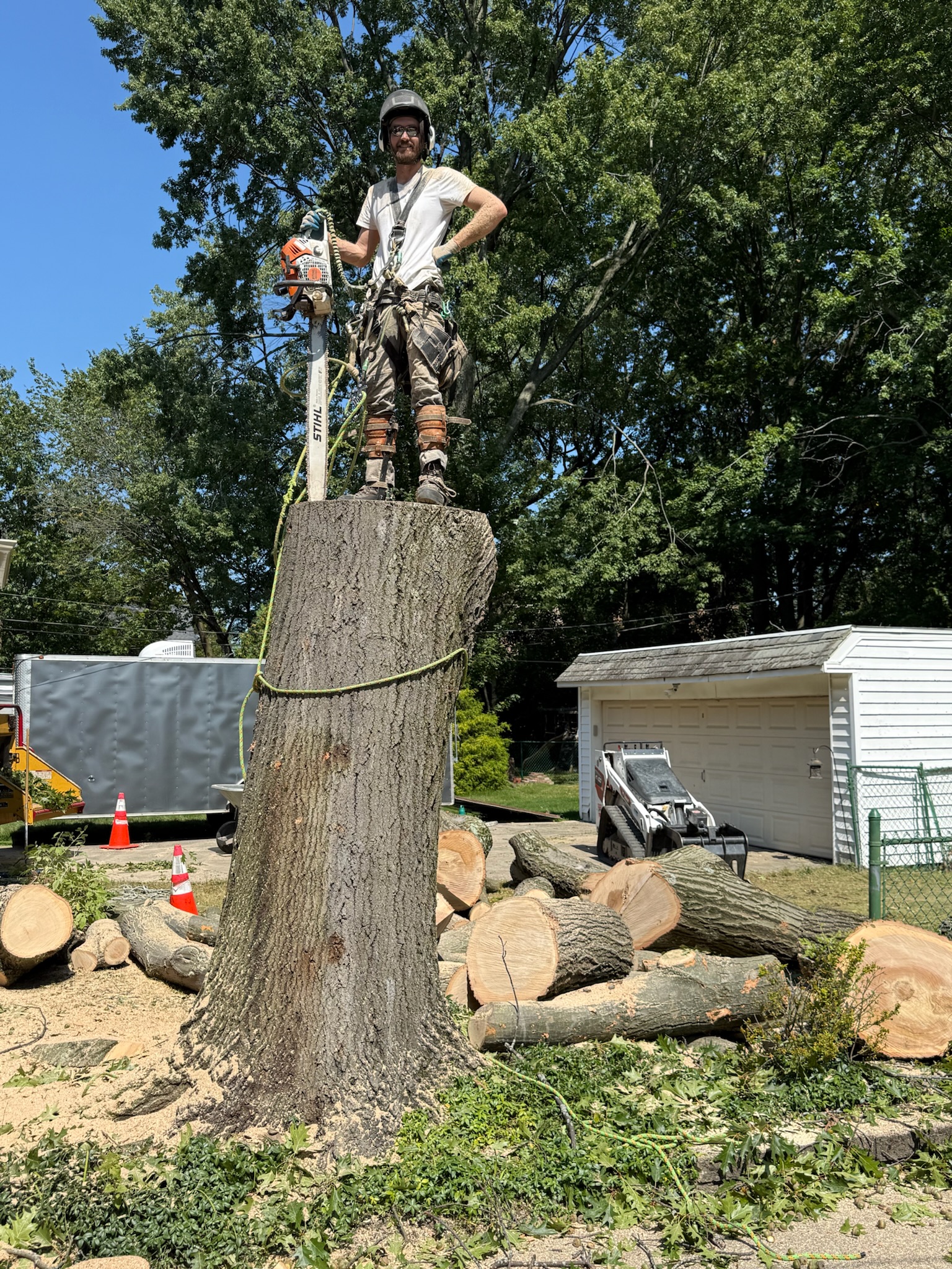 Tree climbing in Wickliffe
