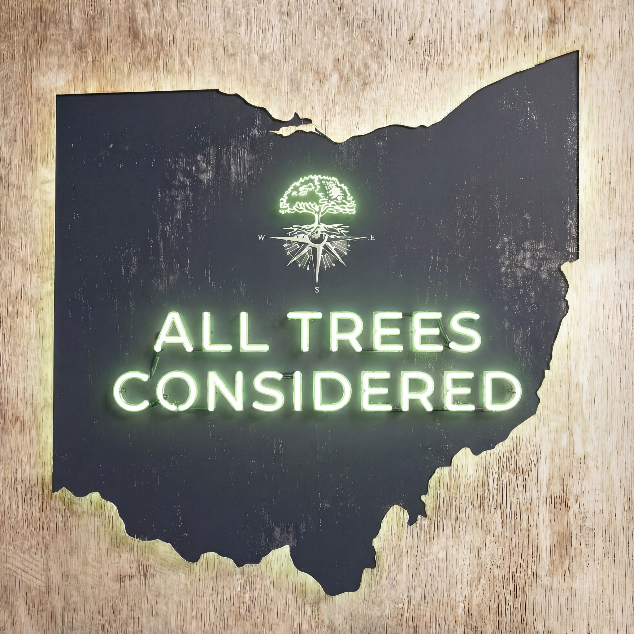 All Trees Considered neon sign in the shape of Ohio