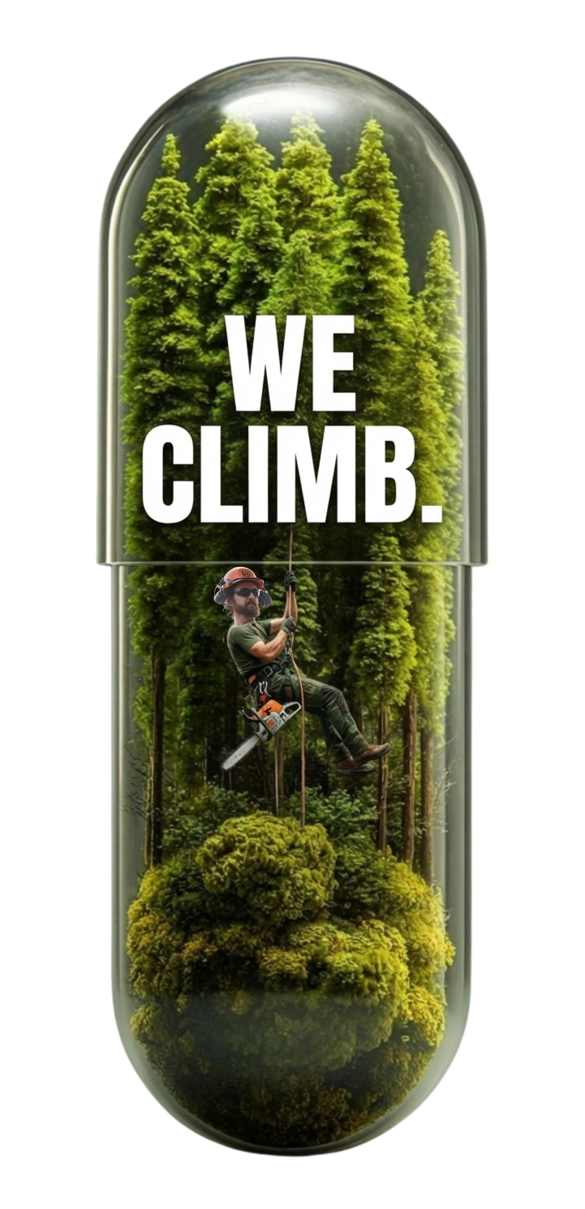 WE CLIMB — Wes climbing inside a tree capsule
