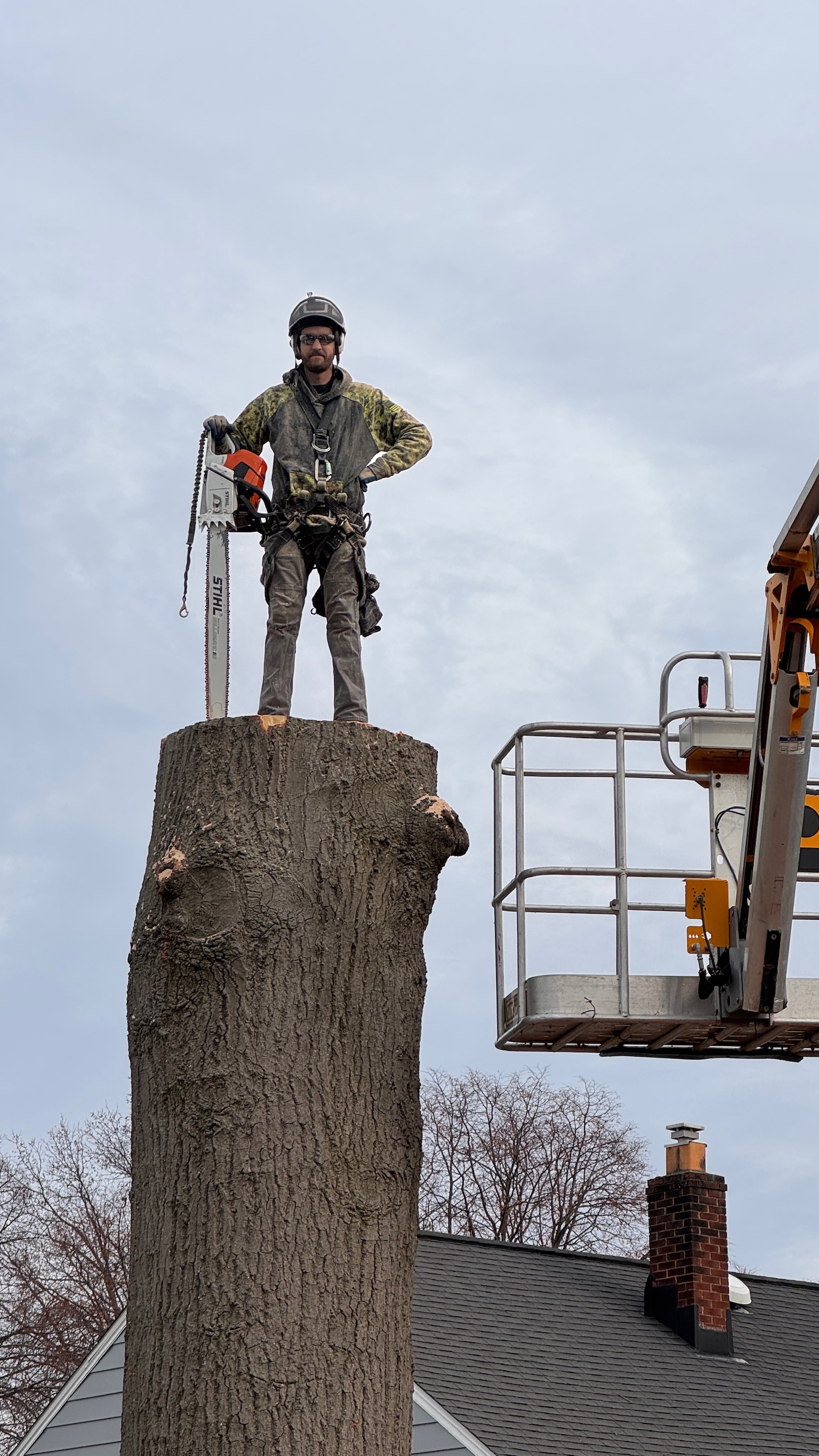 Wes Ware standing on a tree stump with a Stihl chainsaw after a removal