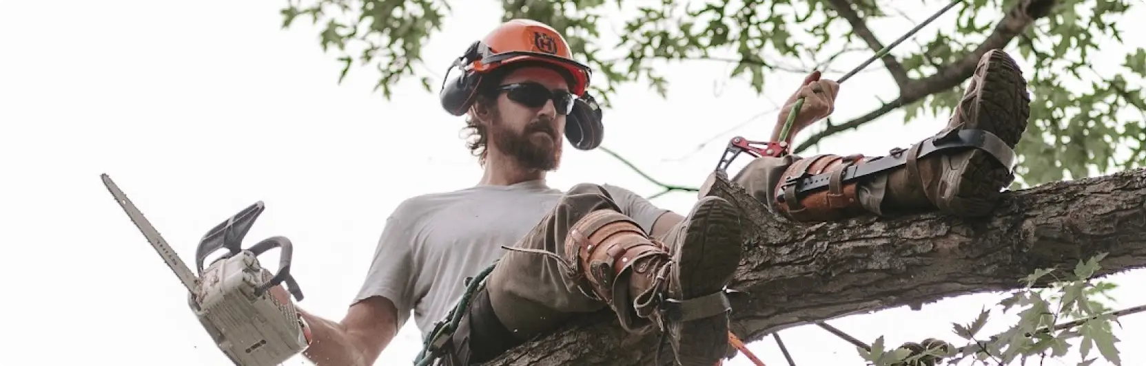 Wes Ware, owner and master climber